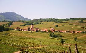 Hotel Winzenberg