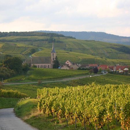 Hotel Winzenberg Blienschwiller Esterno foto
